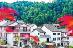 2021年杭州計劃新開工裝配式農房4.3萬㎡，大約完成6000戶的農房建設！