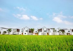 住建廳給你揭曉 裝配式農房有哪些有點？